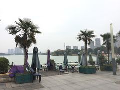 -大耳象东南亚风情餐厅(月湖公园店)