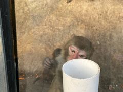 -北京鹿世界主题园