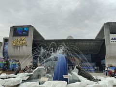 -合肥海洋世界
