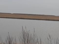 -哈素海