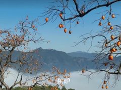 -楠溪江风景名胜区