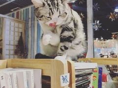 -小时光咖啡馆(开森度假森林店)