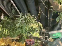 -城墙拐拐火锅(三峡广场黑金冠店)