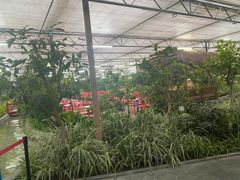 -南宫五洲植物乐园