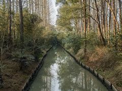 -同里国家湿地公园