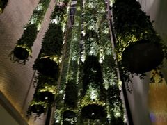 -顶层酒吧ROOF(上海艾迪逊酒店)