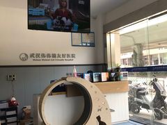 -伟伟宠物医院·瑞派猫友好医院·猫科(光谷店)