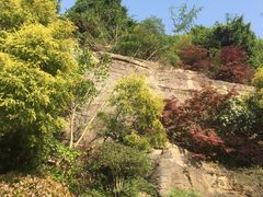 -铁山坪森林公园