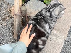 -南枝小馆(银鱼巷店)