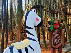 -山王坪喀斯特国家生态公园