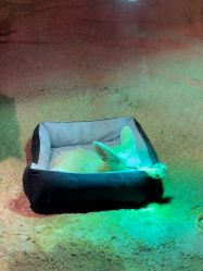 -酷嗒动物文化乐园(cutezoo西溪乐天城店)