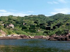 -枸杞岛