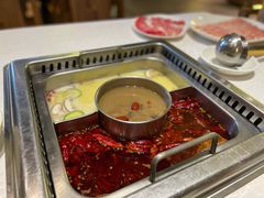 -巴奴毛肚火锅(九洲店)