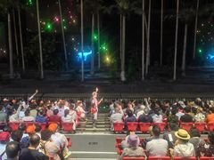 -三亚红色娘子军演艺公园景区