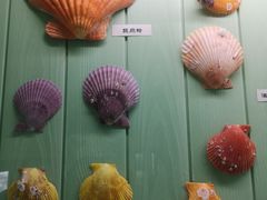 -灵山岛风景区
