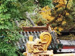 -潭柘寺景区