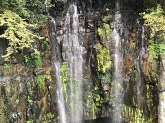 -溪口-滕头旅游景区