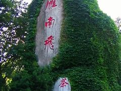 -雁南飞茶田景区