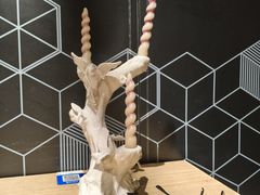 -Maxpoint Kitchen 西餐咖啡(乐峰广场店)