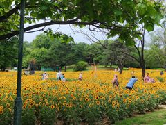 -沈阳植物园