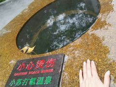 -广东温泉宾馆