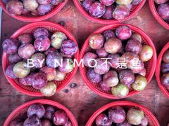 -海窝子古镇