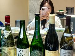 -丁老爷子苏香圆