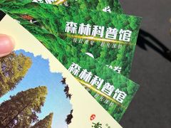 -黄海国家森林公园