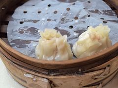 -枫泾丁氏烧卖(枫丽路店)