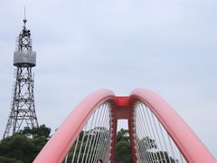 -金鸡山公园