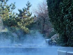 -徂徕山森林康养度假谷温泉