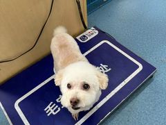 -宠颐生猫科·内科皮肤科(西平世纪城店)