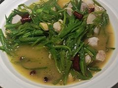 -滇铺子·云南特色菜·第九届野生菌美食节(曲靖万达店)