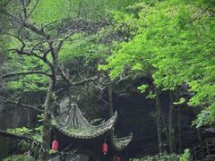 -石台牯牛降景区