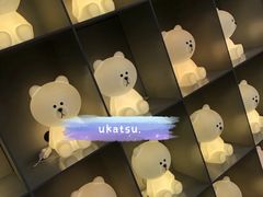 -line friends(明洞旗舰店)