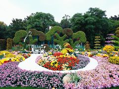 -上海共青森林公园