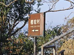 -紫金山山顶公园