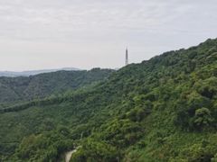 -黄埔古港