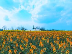 -中国天府农业博览园