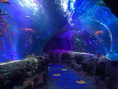 -沈阳海洋探索中心