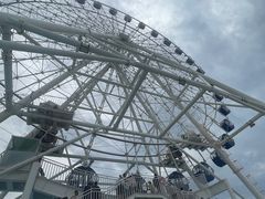 -秦皇岛乐岛海洋王国