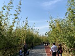 -上海长兴岛郊野公园