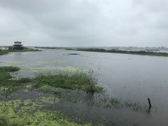 -焦岗湖旅游度假区