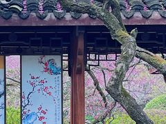 -杭州植物园