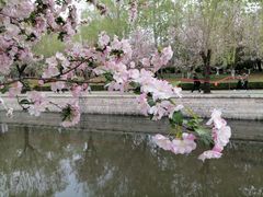 -海棠花溪(元大都城垣遗址公园)