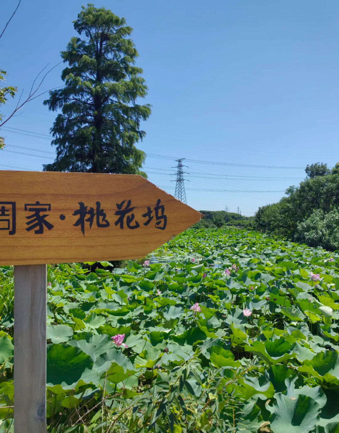 周末出游好去处✨