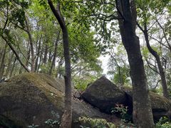 -梧桐山风景名胜区
