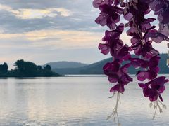 -仙海旅游度假区