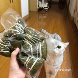 她家开的豆米火锅店 水西芸