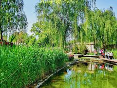 -三里河公园